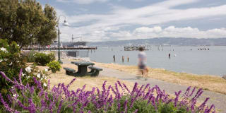 Avalon Dogpatch Gallery 42