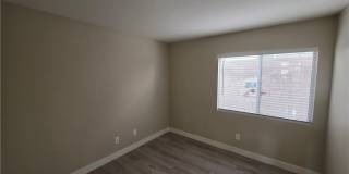 626 Palmwood Lane Gallery 49