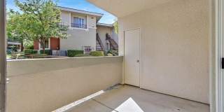 908 Domnus Lane Gallery 20