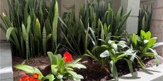 2243 Martin Gallery 35