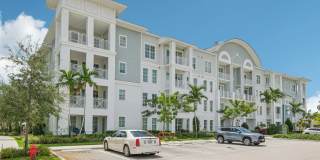 Ivory Lantana Gallery 13