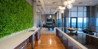 Arrive Wheaton Gallery 43