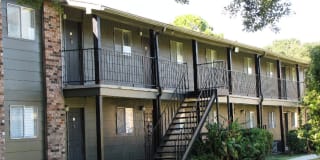 Pinewoods Gallery 2