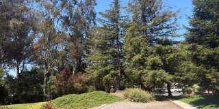 Capitola Knolls, Remodeled 3bd. 1.5ba two-level townhome Gallery 21