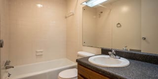 Windsor Court Gallery 11