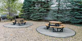 Bellaire Estates Gallery 12
