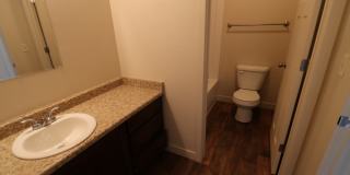 Beautiful 3 bed 2.5 bath townhome in Vineyard Gallery 13