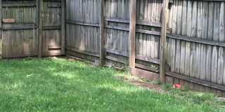 West Nashville 3BR Duplex - Free Rent Gallery 8