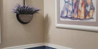 20709 N 264th Avenue Gallery 22