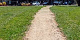 Cedar Ridge Gallery 36