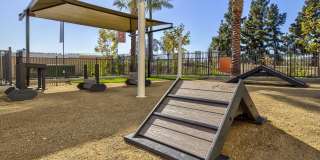 Vineyards Gallery 87