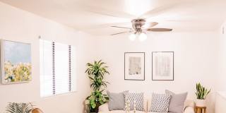Haven Rio Gallery 37