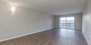 The Maples Gallery 8