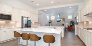 524 Cotorra Springs Gallery 1
