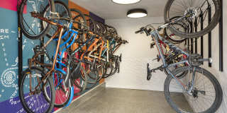 Mile 44 Gallery 12