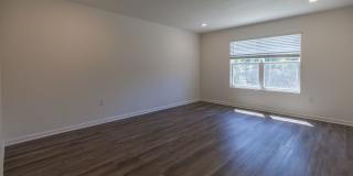 4/2 Stonebridge Rental with Modern Upgrades, Private Wooded Views & Resort-Style Amenities Gallery 11