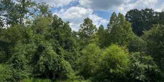 4165 Tiber Falls Dr Gallery 31