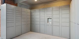 Carrara at Cole Gallery 37