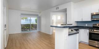 Skyview Gallery 6