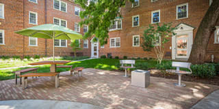 Harvard Village Gallery 9