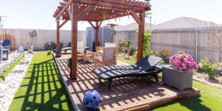 7710 Purple Vitex Gallery 41