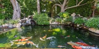 1111 Sierra Alta Way Gallery 63