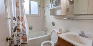1511 Shirley Place Gallery 6