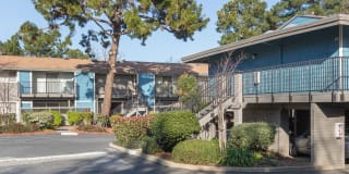 Reserve at Mountain View Gallery 5