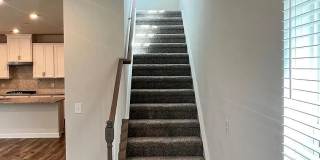 Rooms in 4 Bedroom Home at Laughing Gull Dr Rooms in 4 Bedroom Home at Laughing Gull Dr Gallery 13