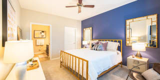 Element Carolina Bay Element Carolina Bay Gallery 23