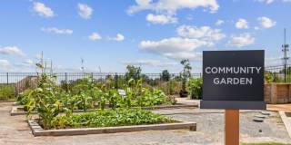 Bexley Sugarloaf Gallery 11