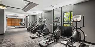 Aster & Links Gallery 50