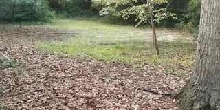 4Br, 2Ba Historic Victorian Gem - 1841 Ohio Ave Gallery 37