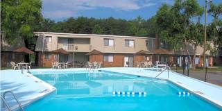 The Arcadian Gallery 1