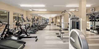 Harbor Landing Gallery 29