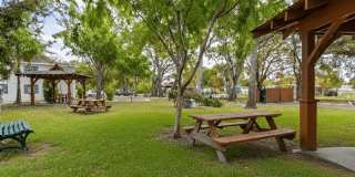 Fernwood Grove Gallery 19
