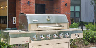 Centro NoDa Gallery 30