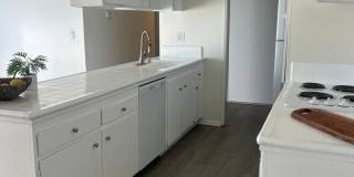 *FIRST MONTH FREE WHEN APPLICATION IS SUBMITTED THE SAME DAY OF TOUR* Bright 1 Bed / 1 Bath with Balcony & Pool – Central AC – Pet Friendly! Gallery 7