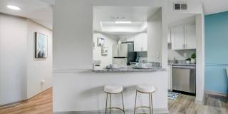 Nova at Trinity Gallery 1