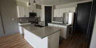 1764 Palladio Loop Gallery 6