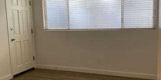 c11670 Gallery 24