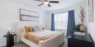 Elle Collection Gallery 18