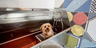 AVA Wheaton Gallery 26