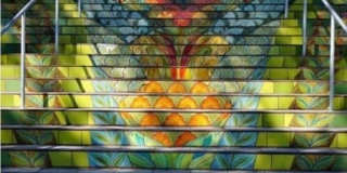 365 22nd Avenue Gallery 13