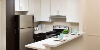 Forest Glen Gallery 27