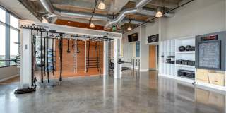 The Dillon Gallery 12