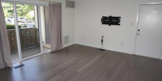901 THORNTON Court Gallery 4
