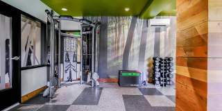 Elan Redmond Gallery 10