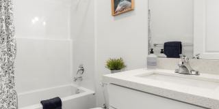 Brand New Construction 1 month free rent! Gallery 44