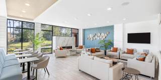 Active Adult 55+ - Restore at Carolina Park Gallery 11